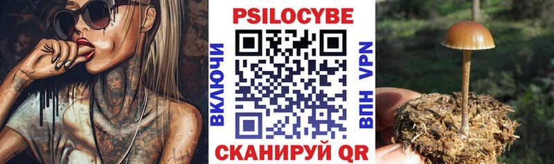 Галлюциногенные грибы Cubensis  купить наркотик  Змеиногорск 
